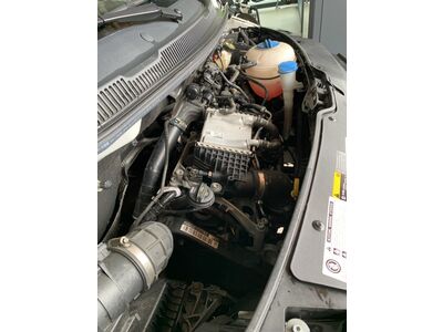 VW Transporter T6 Gebrauchtwagen