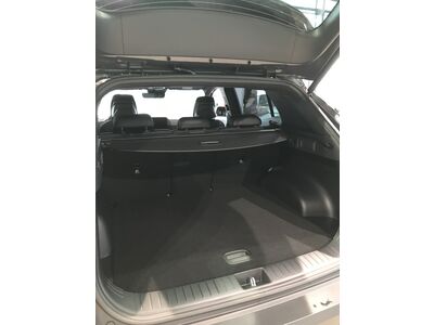 KIA Sportage Neuwagen KIA Sportage Neuwagen