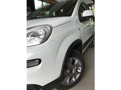 Fiat Panda Gebrauchtwagen Fiat Panda Gebrauchtwagen