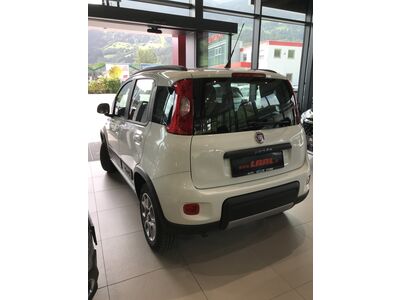 Fiat Panda Gebrauchtwagen Fiat Panda Gebrauchtwagen
