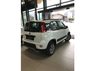 Fiat Panda Gebrauchtwagen Fiat Panda Gebrauchtwagen