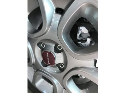 Fiat Panda Gebrauchtwagen Fiat Panda Gebrauchtwagen