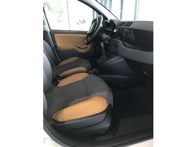 Fiat Panda Gebrauchtwagen Fiat Panda Gebrauchtwagen