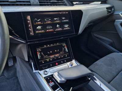 Audi Q8 e-tron Gebrauchtwagen