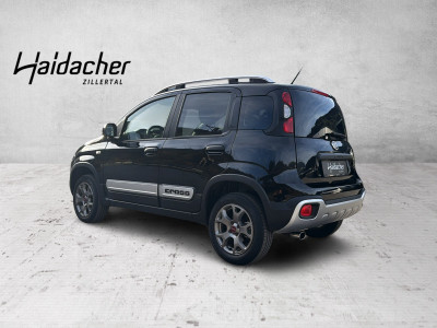 Fiat Panda Gebrauchtwagen