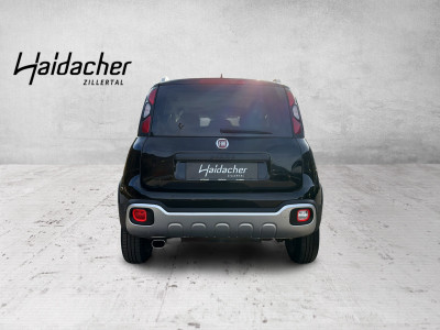 Fiat Panda Gebrauchtwagen