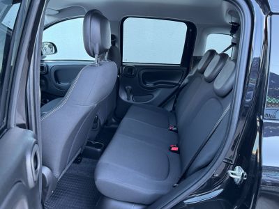 Fiat Panda Vorführwagen