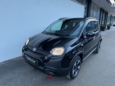 Fiat Panda Vorführwagen
