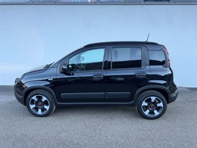 Fiat Panda Vorführwagen