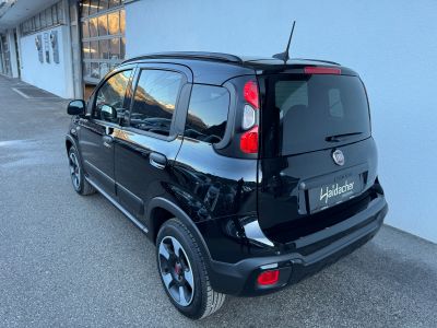 Fiat Panda Vorführwagen