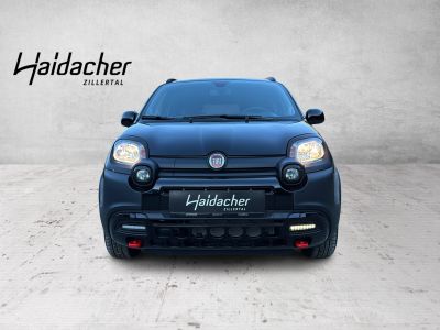 Fiat Panda Vorführwagen