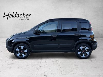 Fiat Panda Vorführwagen