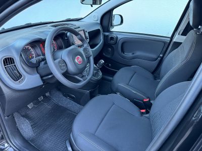 Fiat Panda Vorführwagen