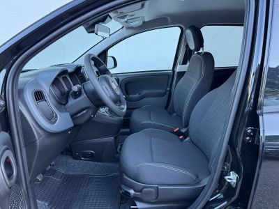 Fiat Panda Vorführwagen