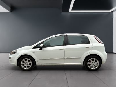 Fiat Punto Gebrauchtwagen