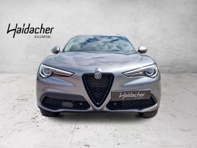 Alfa Romeo Stelvio Vorführwagen Alfa Romeo Stelvio Vorführwagen