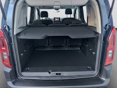 Fiat Doblo Vorführwagen