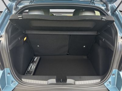 Fiat Grande Panda Vorführwagen