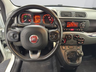 Fiat Panda Gebrauchtwagen