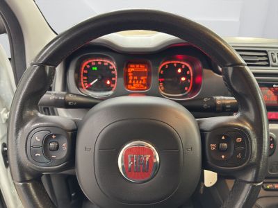 Fiat Panda Gebrauchtwagen