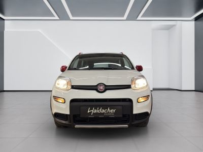 Fiat Panda Gebrauchtwagen
