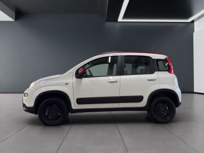 Fiat Panda Gebrauchtwagen