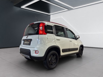 Fiat Panda Gebrauchtwagen