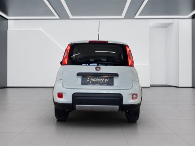 Fiat Panda Gebrauchtwagen