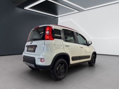 Fiat Panda Gebrauchtwagen