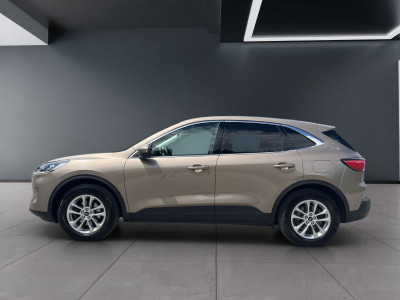Ford Kuga Gebrauchtwagen Ford Kuga Gebrauchtwagen