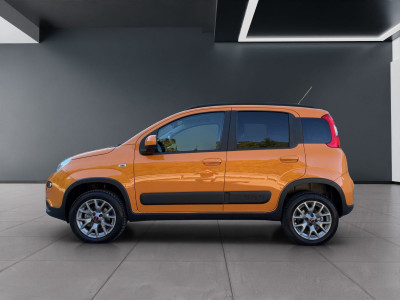 Fiat Panda Gebrauchtwagen