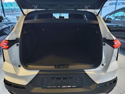 Mitsubishi Grandis Neuwagen