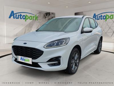 Ford Kuga Vorführwagen
