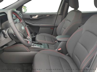 Ford Kuga Vorführwagen