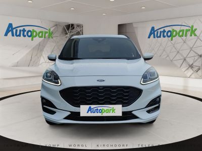 Ford Kuga Vorführwagen