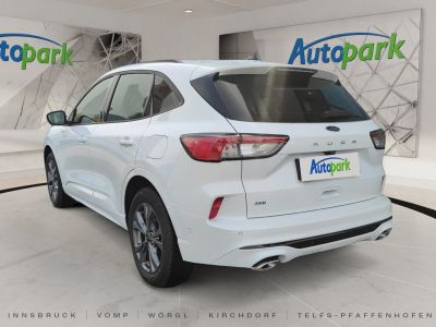 Ford Kuga Vorführwagen