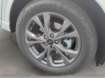 Ford Kuga Vorführwagen