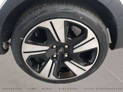 Ford Fiesta Vorführwagen