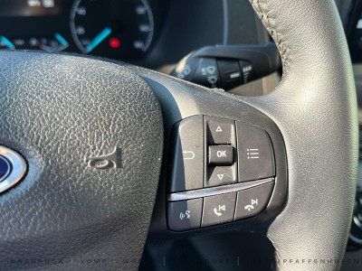 Ford Transit Vorführwagen