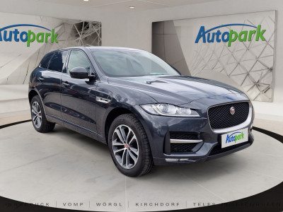 Jaguar F-Pace Gebrauchtwagen
