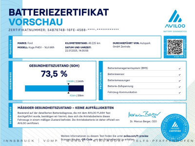 Ford Kuga Gebrauchtwagen