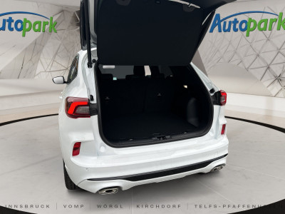 Ford Kuga Vorführwagen