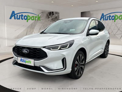 Ford Kuga Vorführwagen