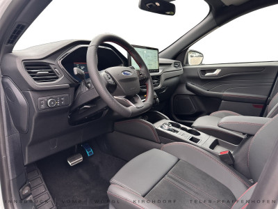 Ford Kuga Vorführwagen