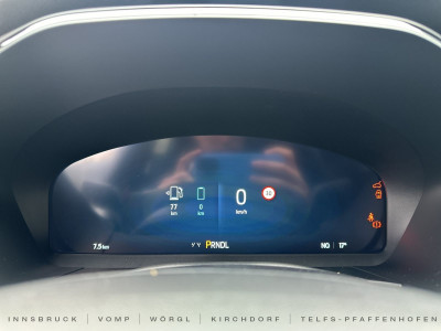 Ford Kuga Vorführwagen