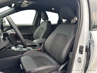 Ford Kuga Vorführwagen