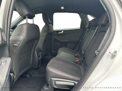 Ford Kuga Vorführwagen