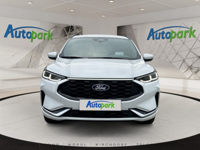 Ford Kuga Vorführwagen