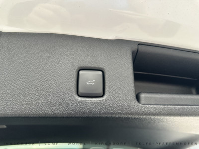 Ford Kuga Vorführwagen