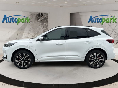 Ford Kuga Vorführwagen